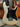 Fender Boxer Stratocaster 1985