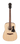 Ibanez V40 Opn