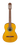 Ibanez GA30AM
