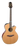 Takamine TSF40C