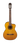 Takamine GC1ce