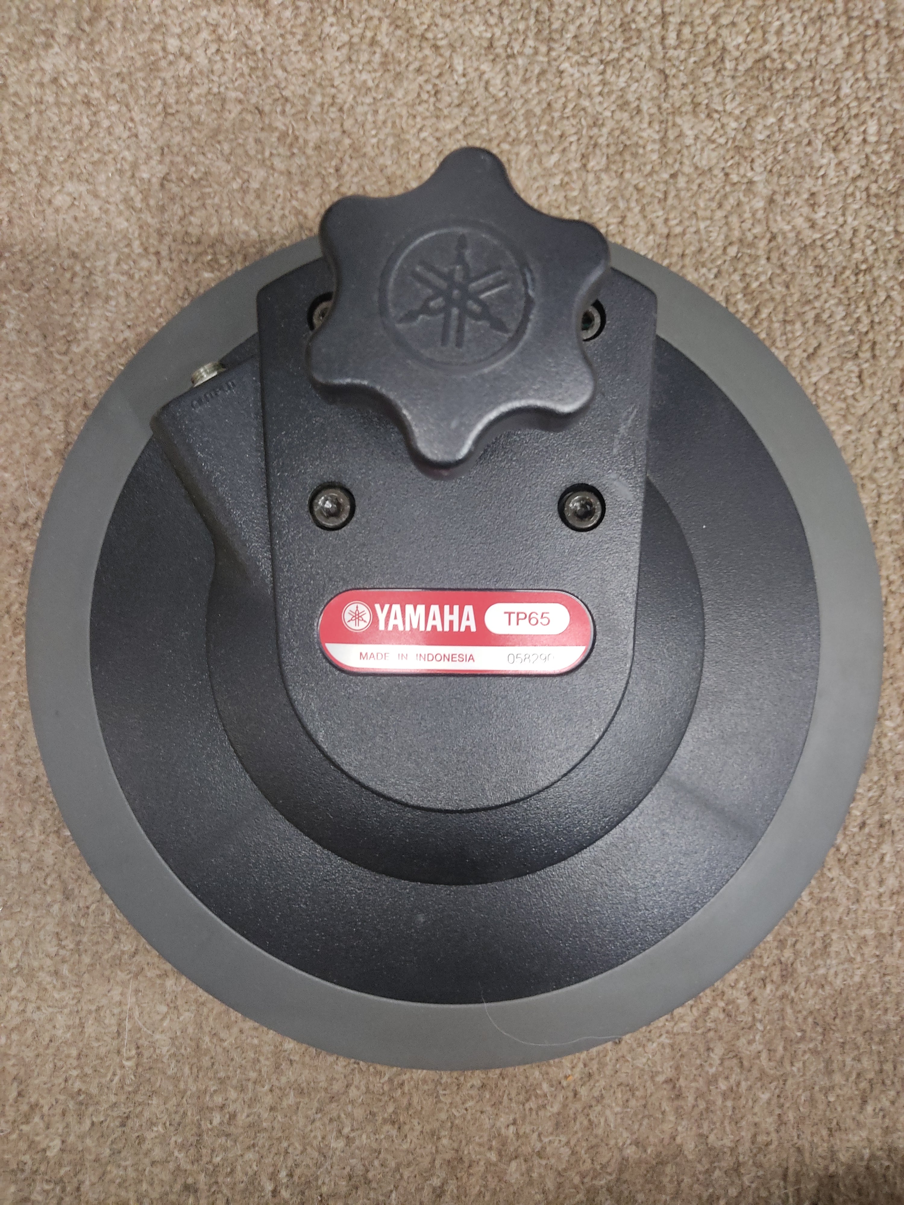 Yamaha TP65