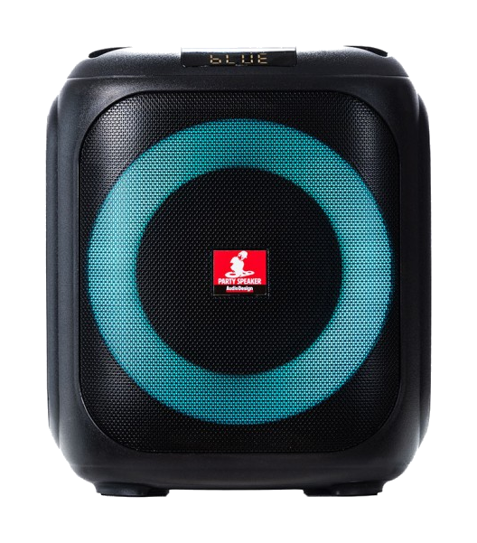Audiodesign Pro DJ 107
