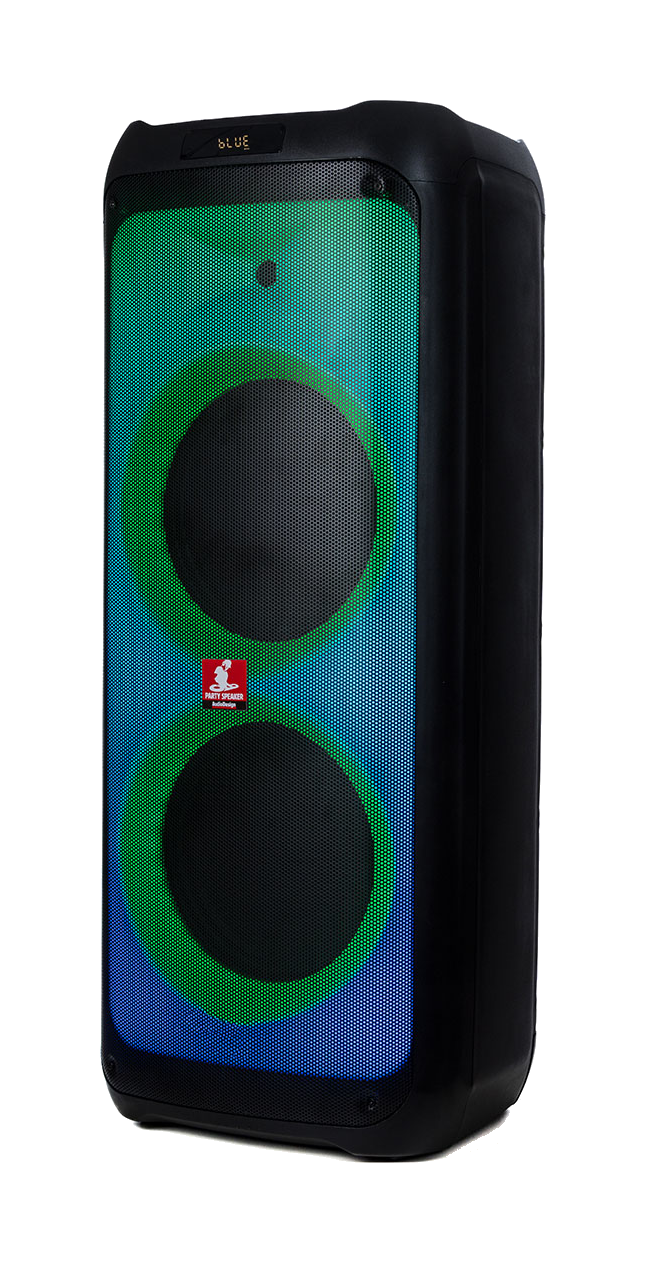 Audiodesign Pro DJ 212S