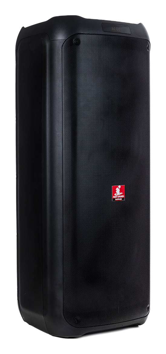 Audiodesign Pro DJ 212S