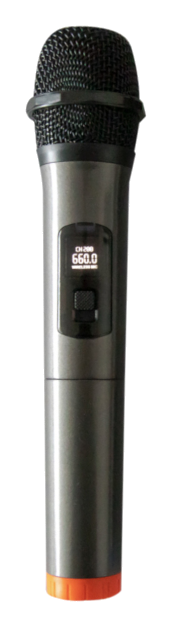 Audiodesign Pro W/L MIC660