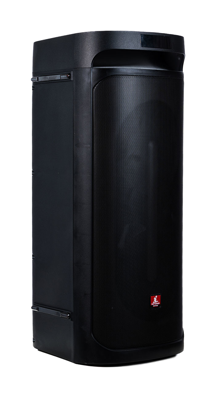 Audiodesign Pro DJ 208