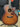 D'Angelico Premier Gramercy Caramel Burst