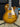 Epiphone Les Paul Standard Plus Top Pro