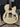Ibanez AC100