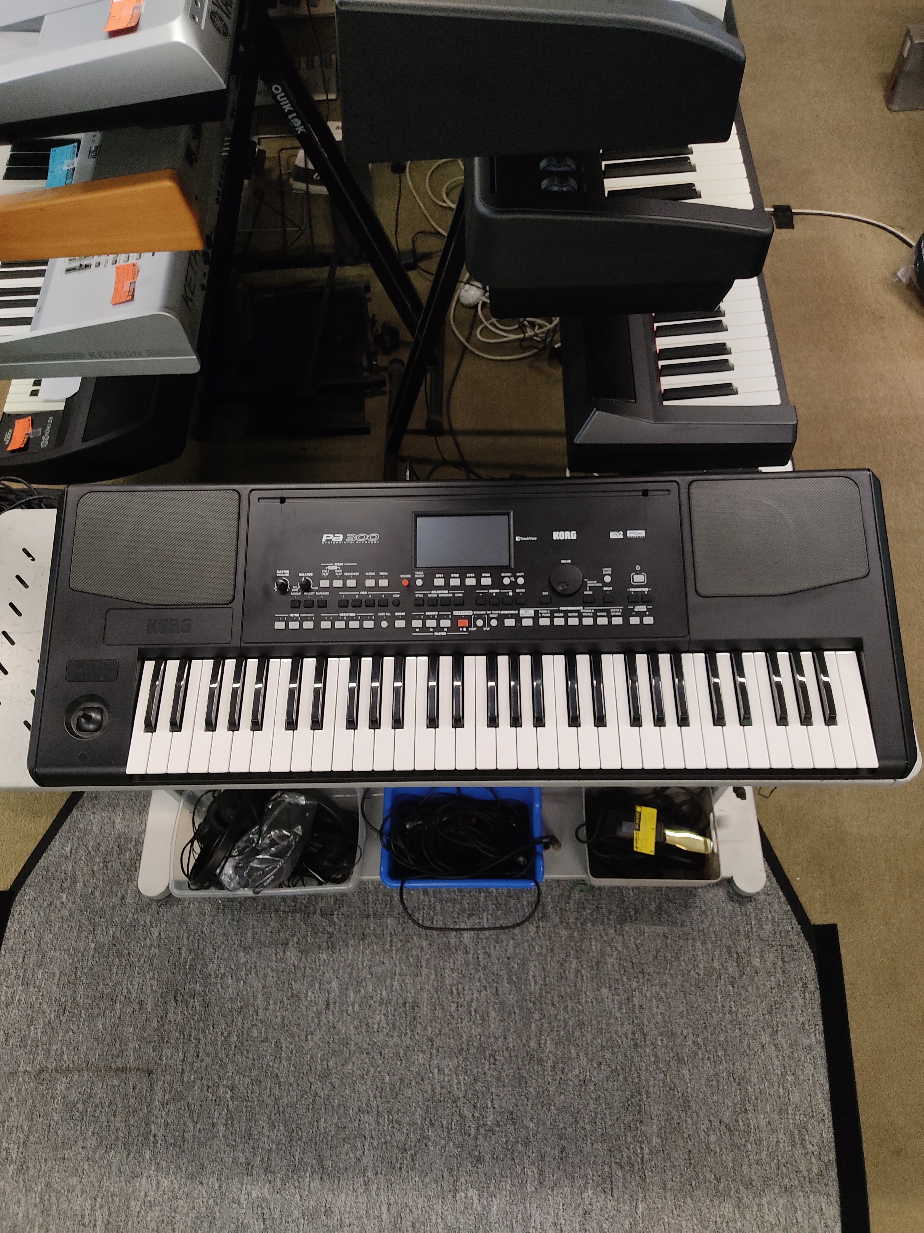 Korg PA300