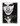 Laura Pausini: Primavera in Anticipo