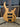 Sire Marcus Miller M5 Swamp Ash 4 (2nd Gen)