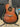 Tanglewood TMO-10NC