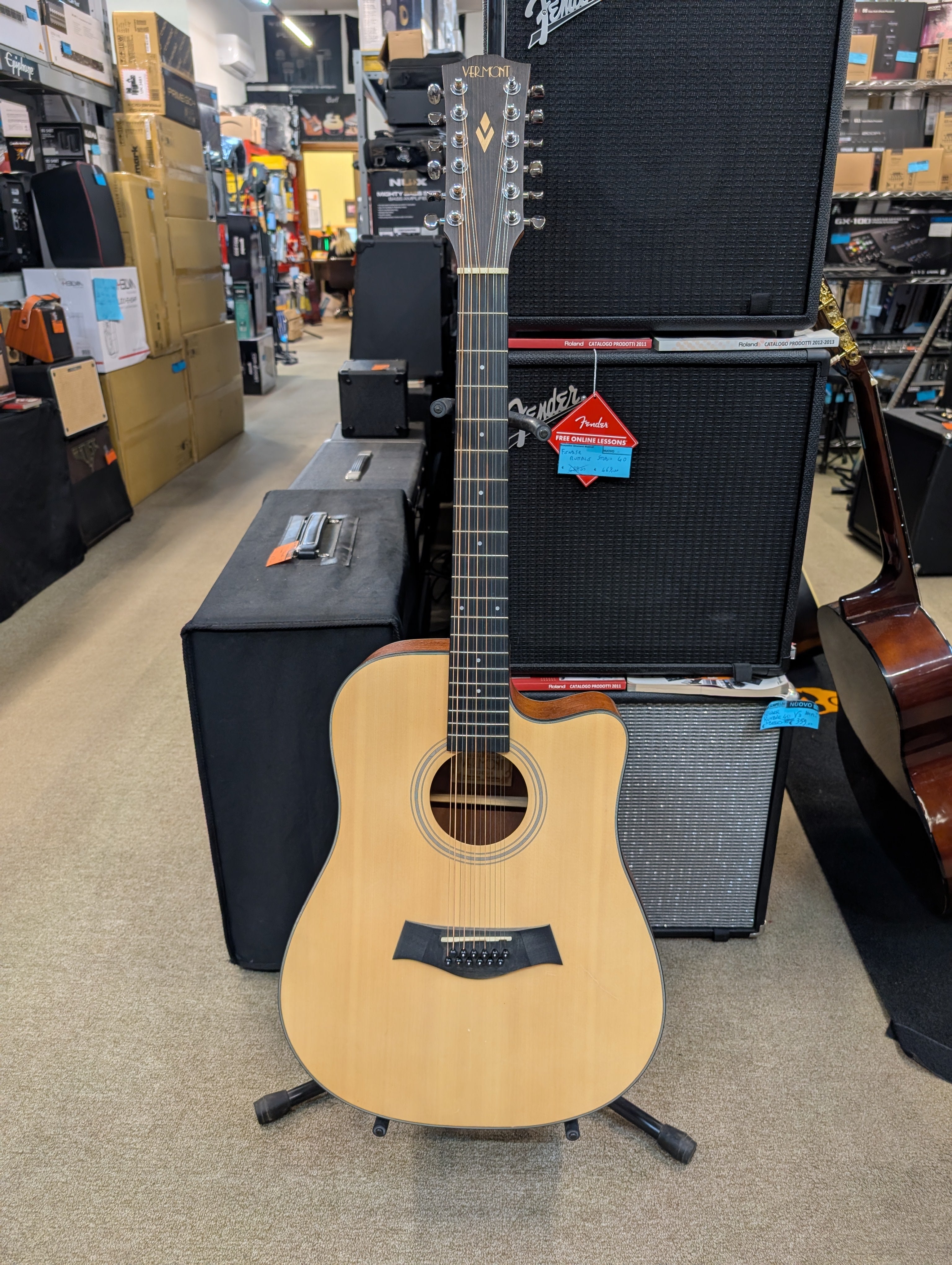 Vermont D112CE (12 Corde)