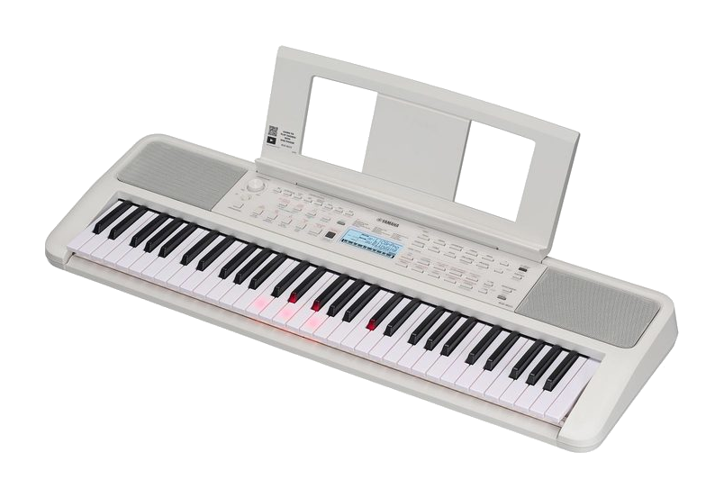 Yamaha EZ310