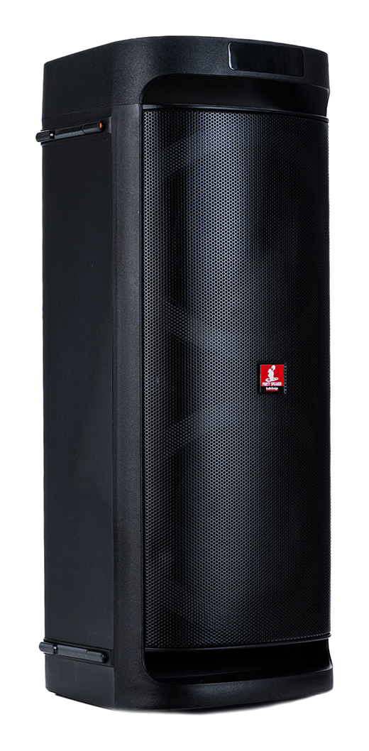 Audiodesign Pro DJ 206