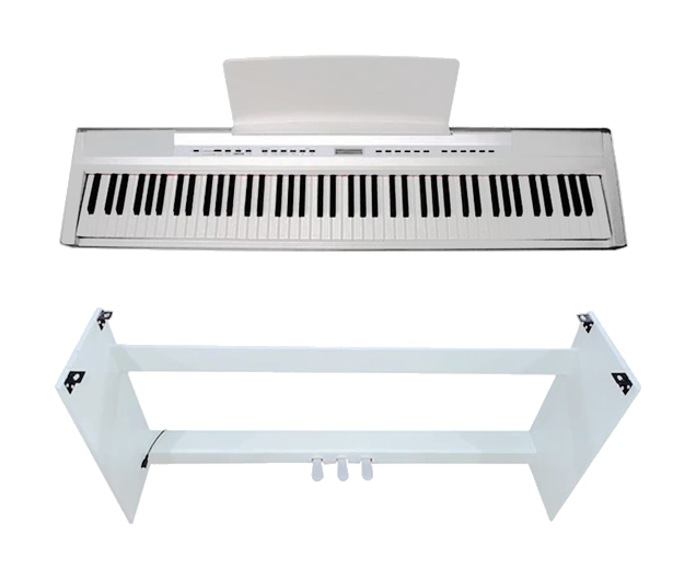 Echord SP10 + WS10