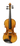 Stagg VN4/4 Electric