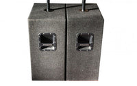 Dynacord C15 Sub (Coppia)