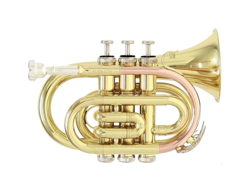 Trombe Strumento Tromba in B A B Strumento a Tromba (Color : Gold) :  : Strumenti Musicali