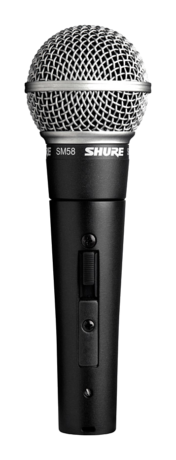 Shure SM58SE CON SWITCH ON/OFF