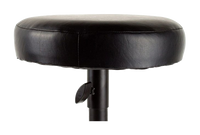Bespeco DT5