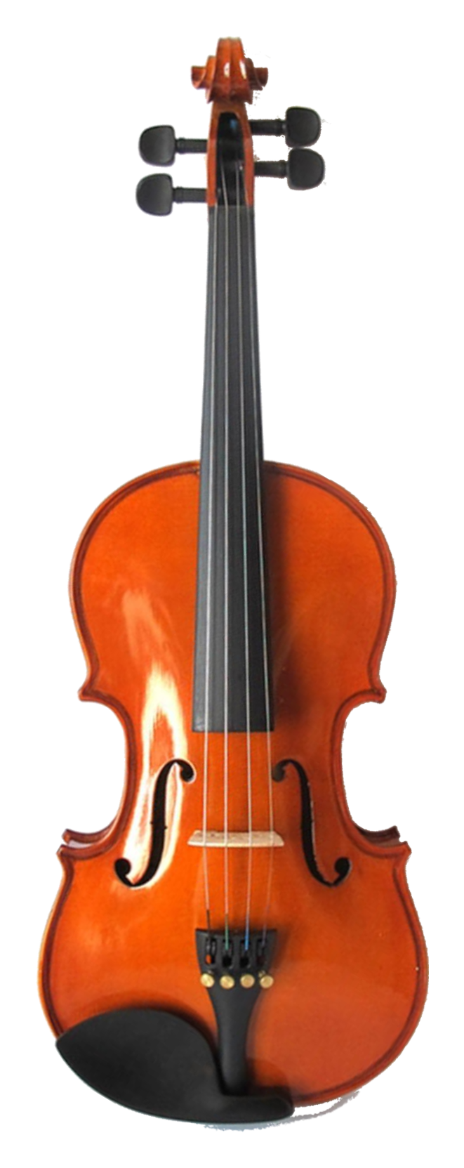 Bruck P4010S Violino 4/4