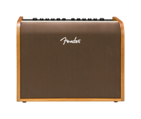 Fender Acoustic 100