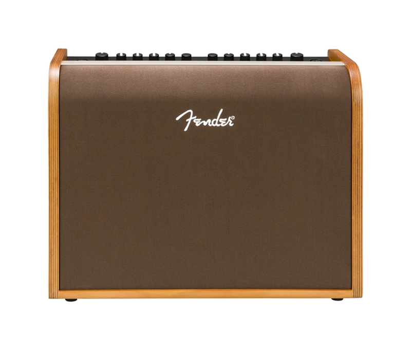 Fender Acoustic 100