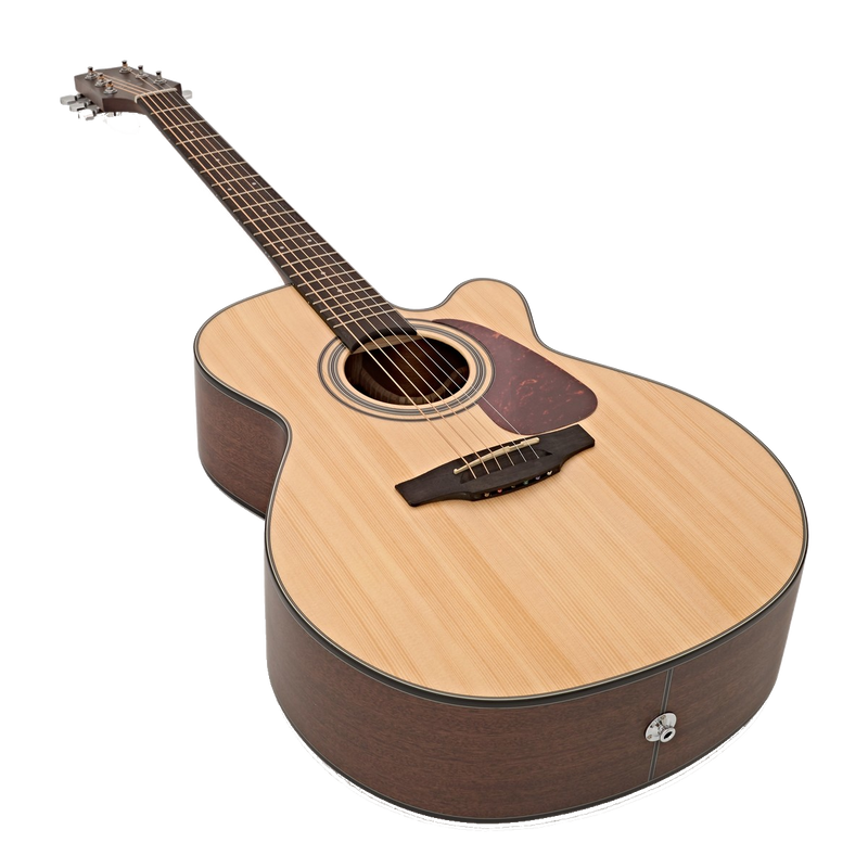 Takamine Gn10ce Ns